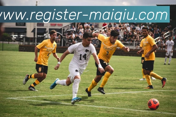 多媒体互动体验